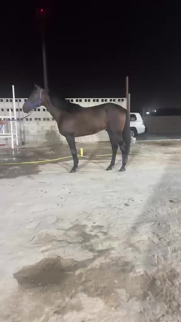 راق الزمان - 3