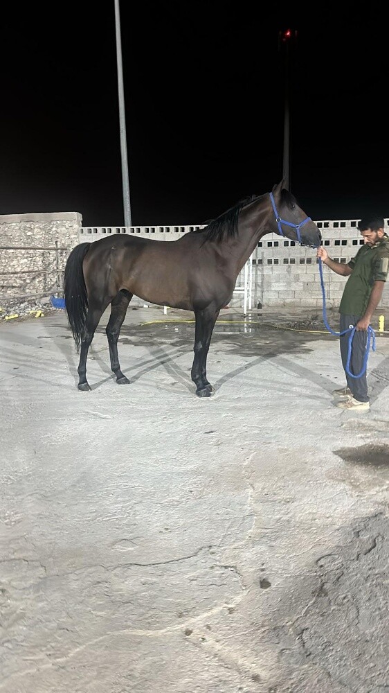راق الزمان - 2