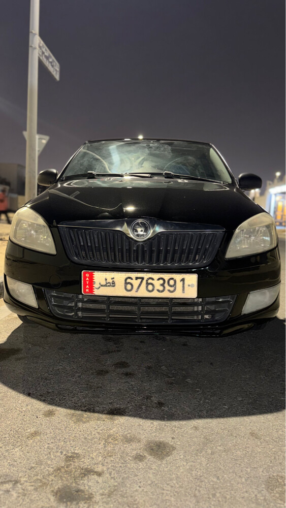 سكودا فابيا 2015 - 3