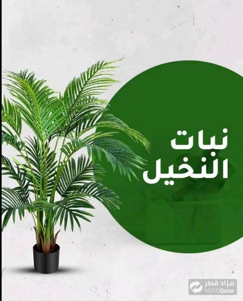 تنسيق الحدائق وزراعة العشب - 22