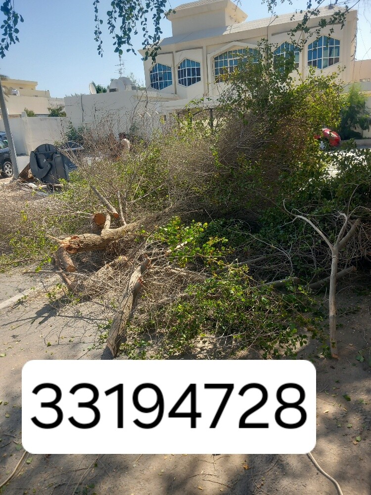 نقوم بتقطيع الاشجار والنخيل - 1
