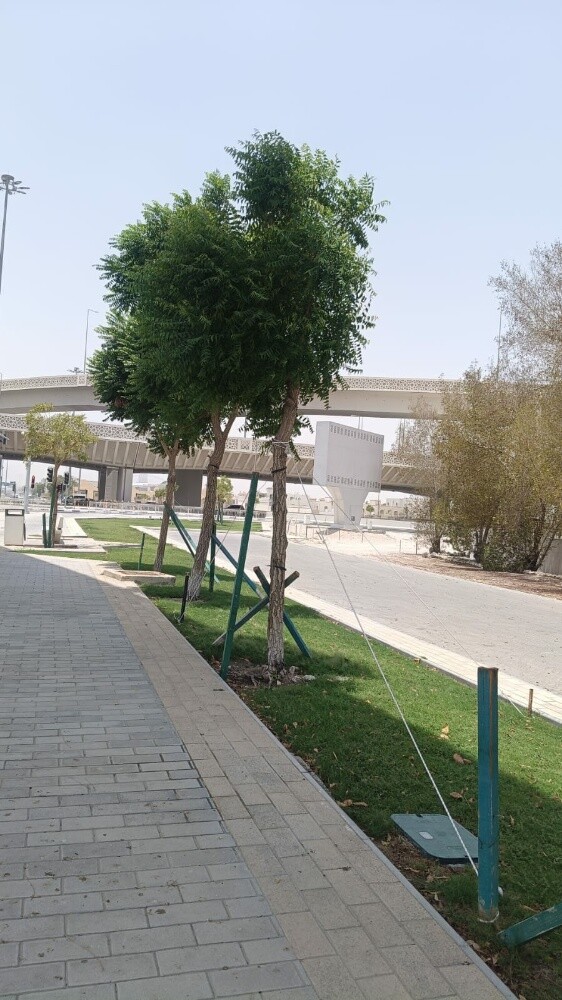 اعمل ديكور  وترتيب المزارع الكبير - 30