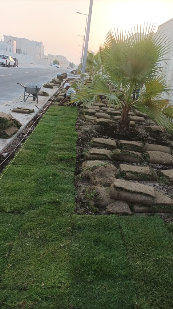 اعمل ديكور  وترتيب المزارع الكبير - 24