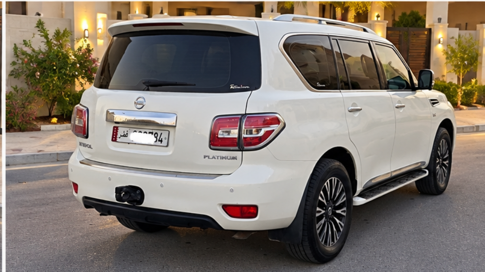 2014 Nissan Platinum 320 - 4