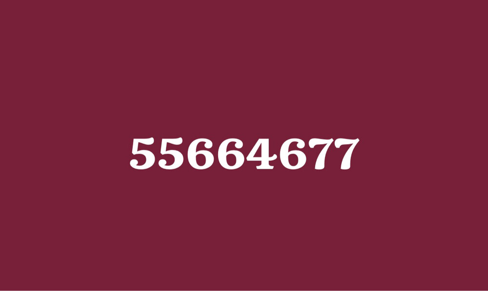 5566 - 1