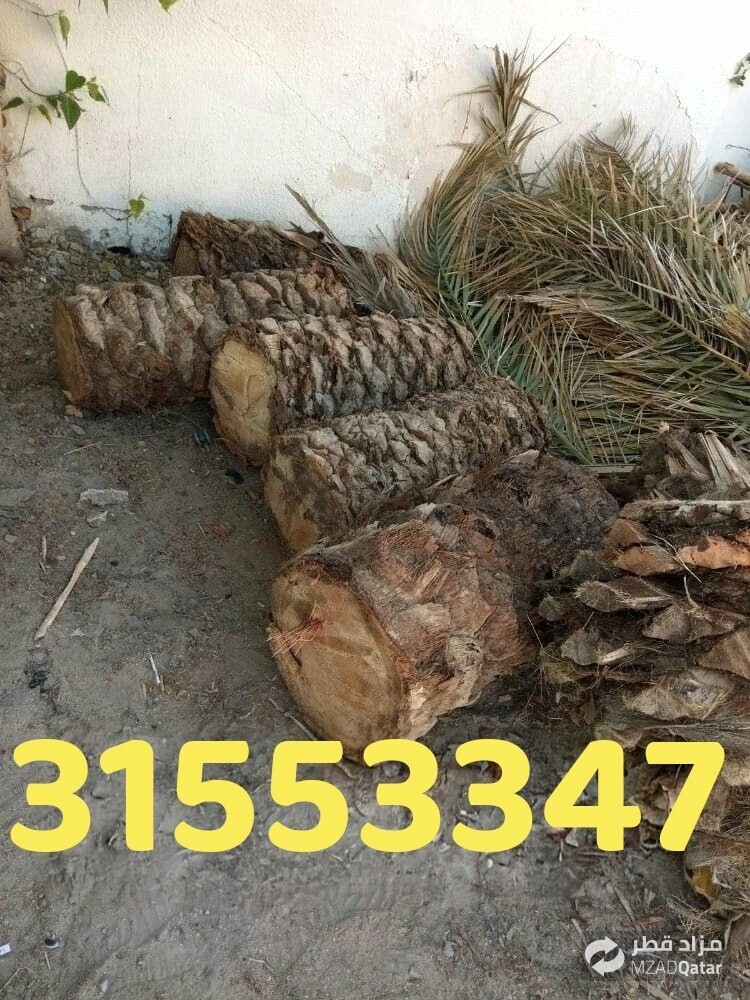 قص وتقطيع الأشجار - 1