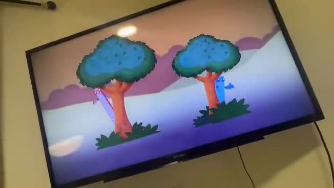 Sony Bravia  - 3