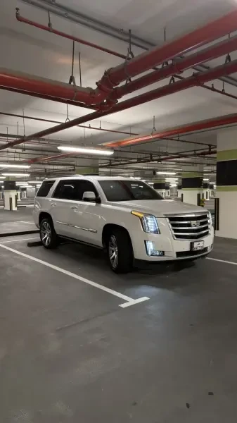 Cadillac Escalade 2016 Agency - 4