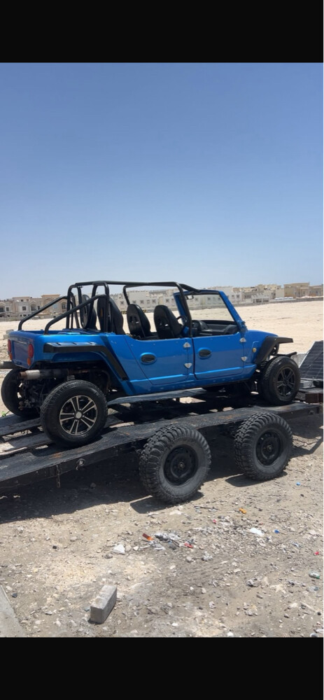 جيب صيني يبيلة ظفيرة  - 2