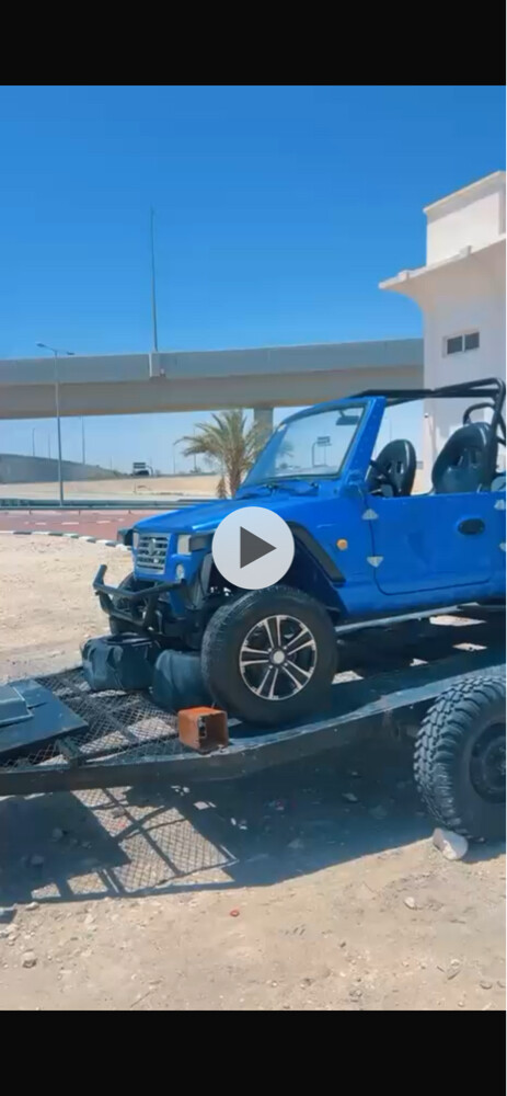 جيب صيني يبيلة ظفيرة  - 7