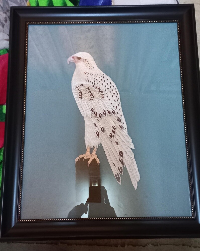 falcon  brand new - 4