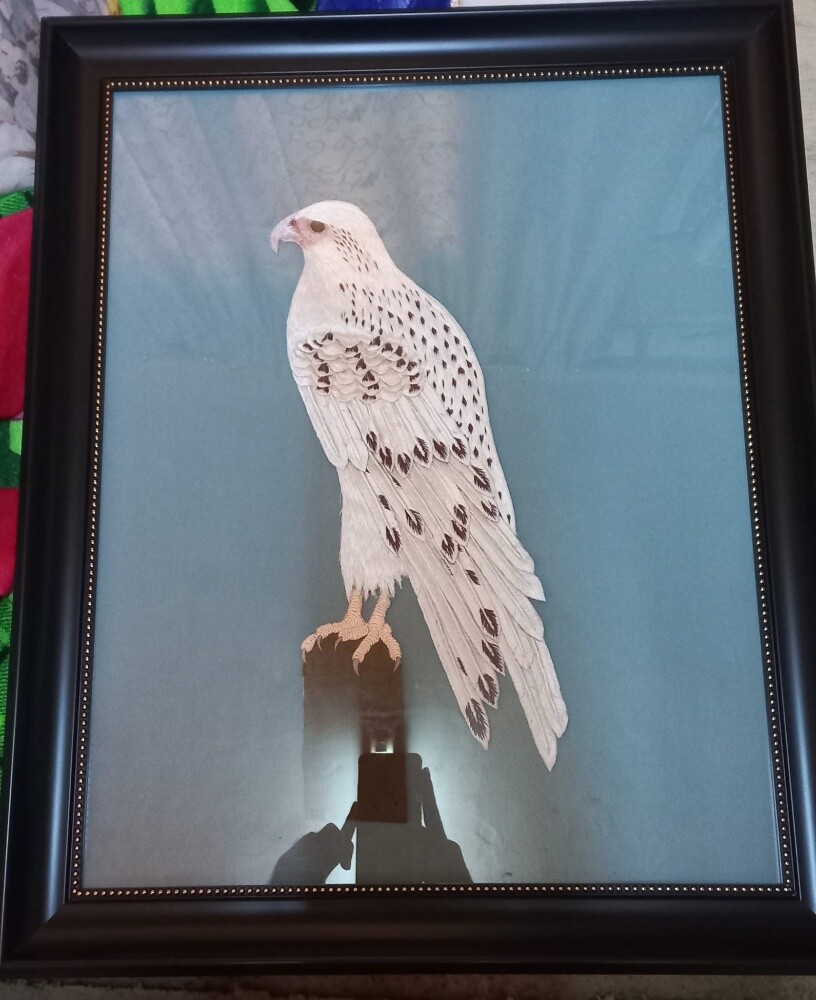 falcon  brand new - 2