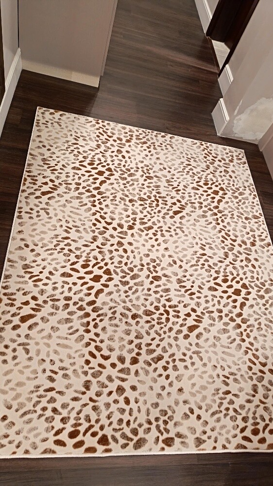 modern carpet - 14