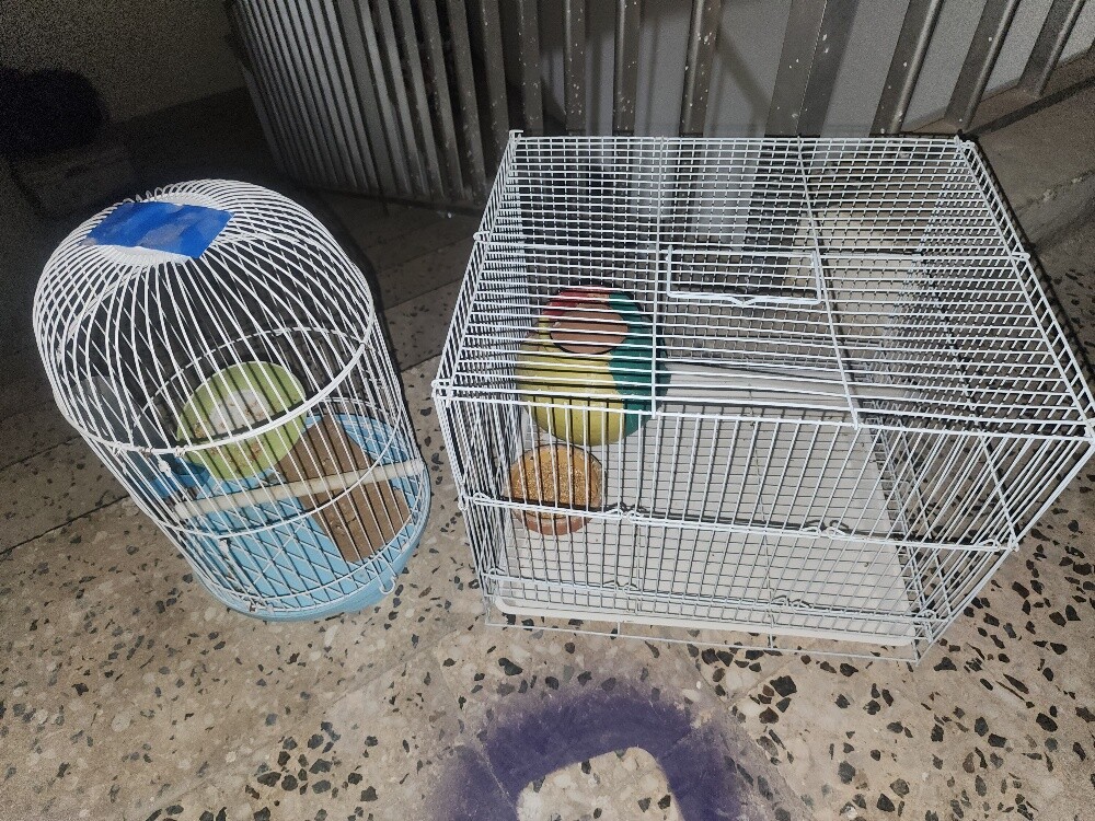 2 Cages - 1