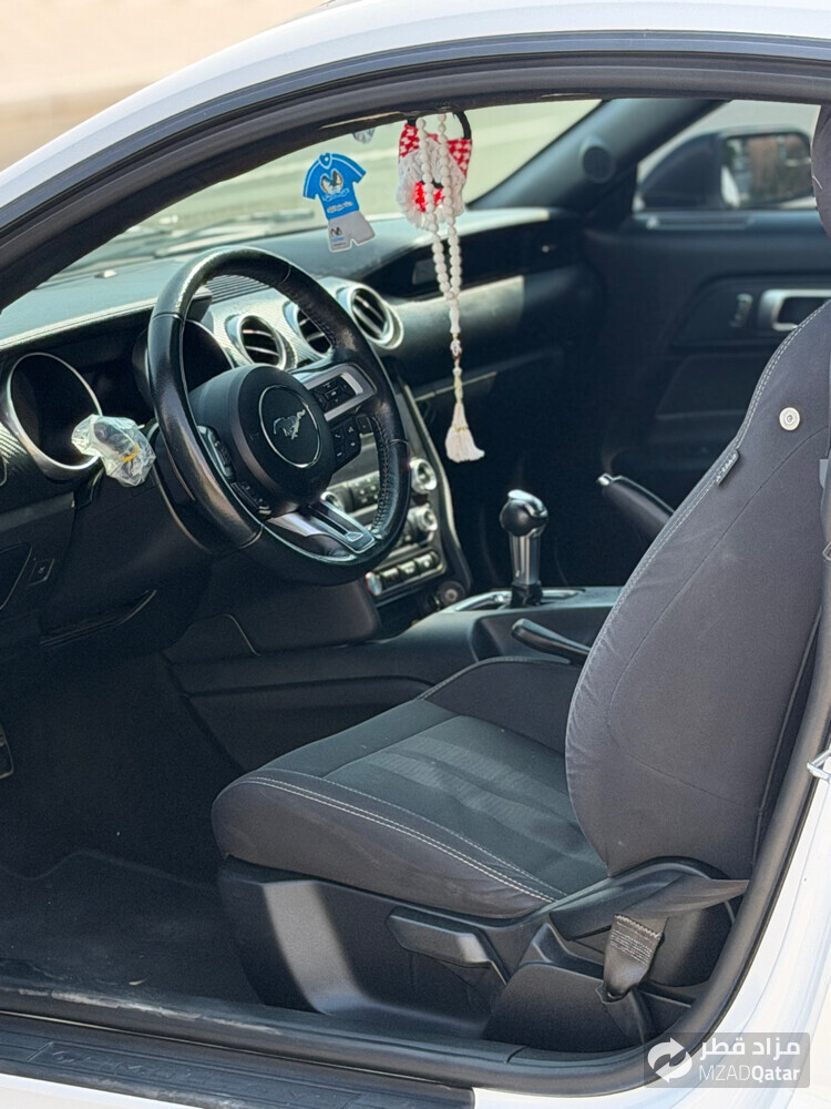 فورد موستنج ايكوبوست - 3