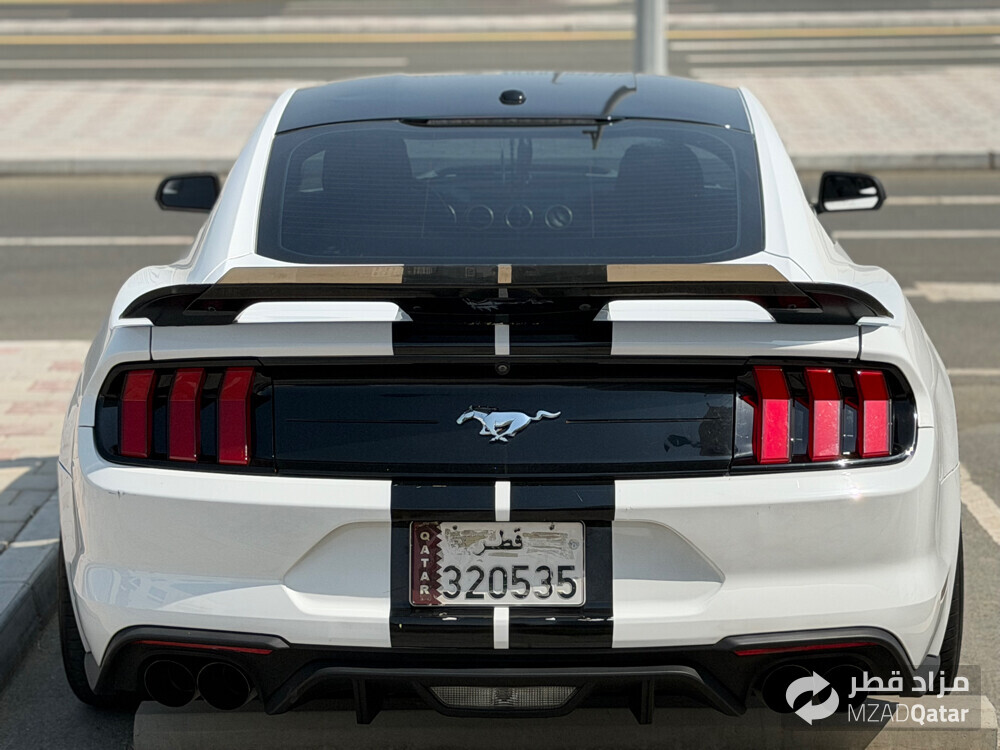 فورد موستنج ايكوبوست - 6
