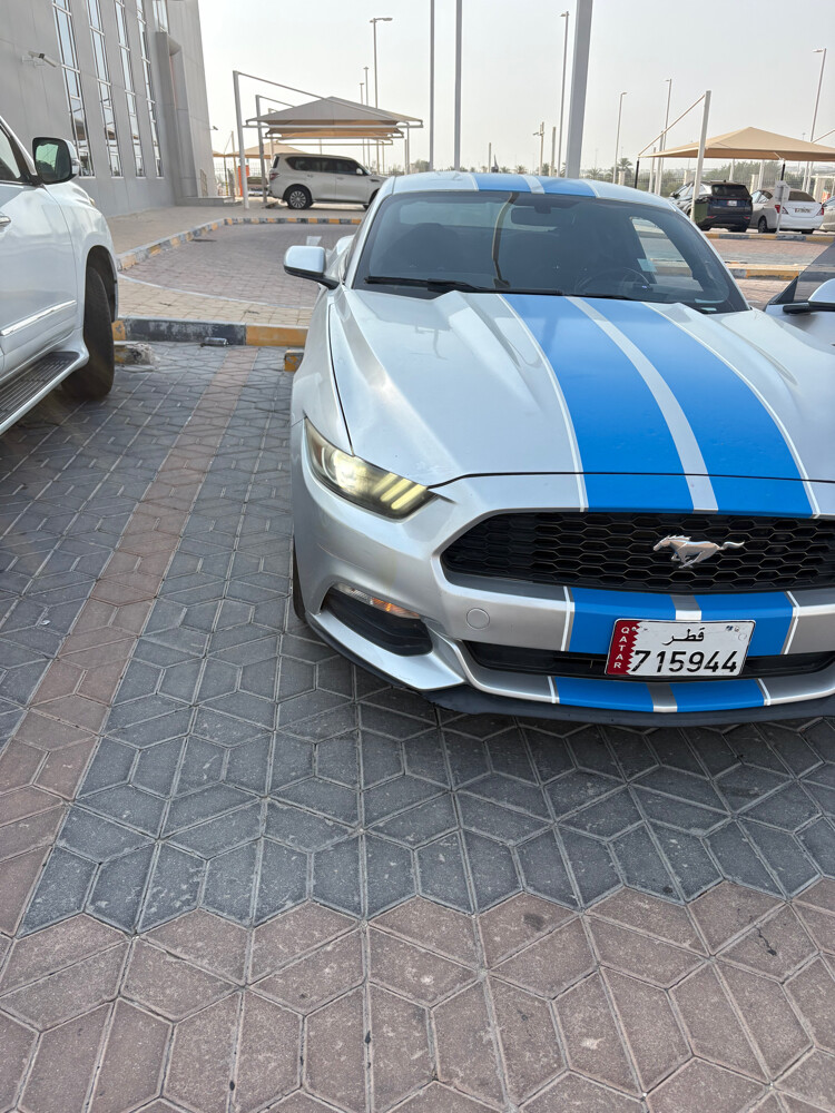 موستانج - 4