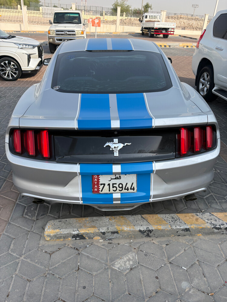 موستانج - 3