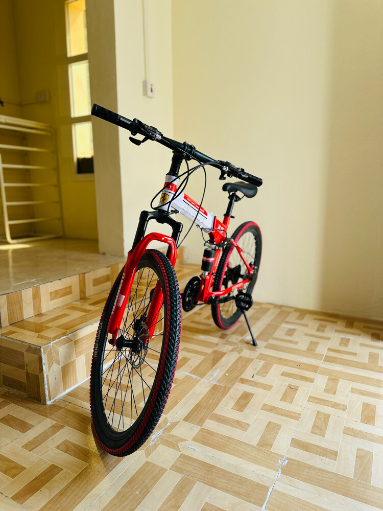 Ferrari X6 Super Sport Bicycle - 3