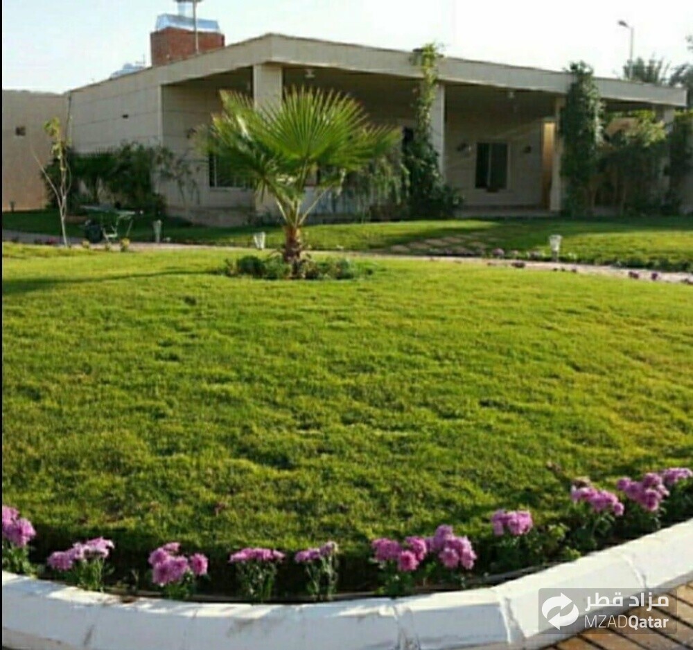زراعة العشب الطبيعي والزهور - 20