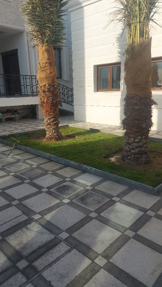 زراعه وتنسيق الحدائق - 7