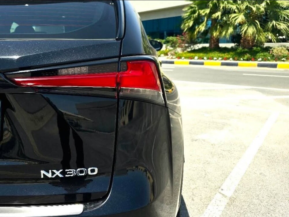 Lexus NX 300 F sport - 3