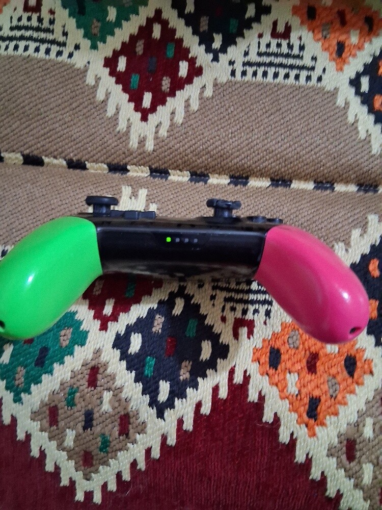 pro controller - 5