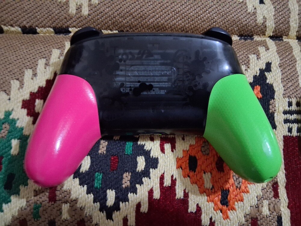 pro controller - 4