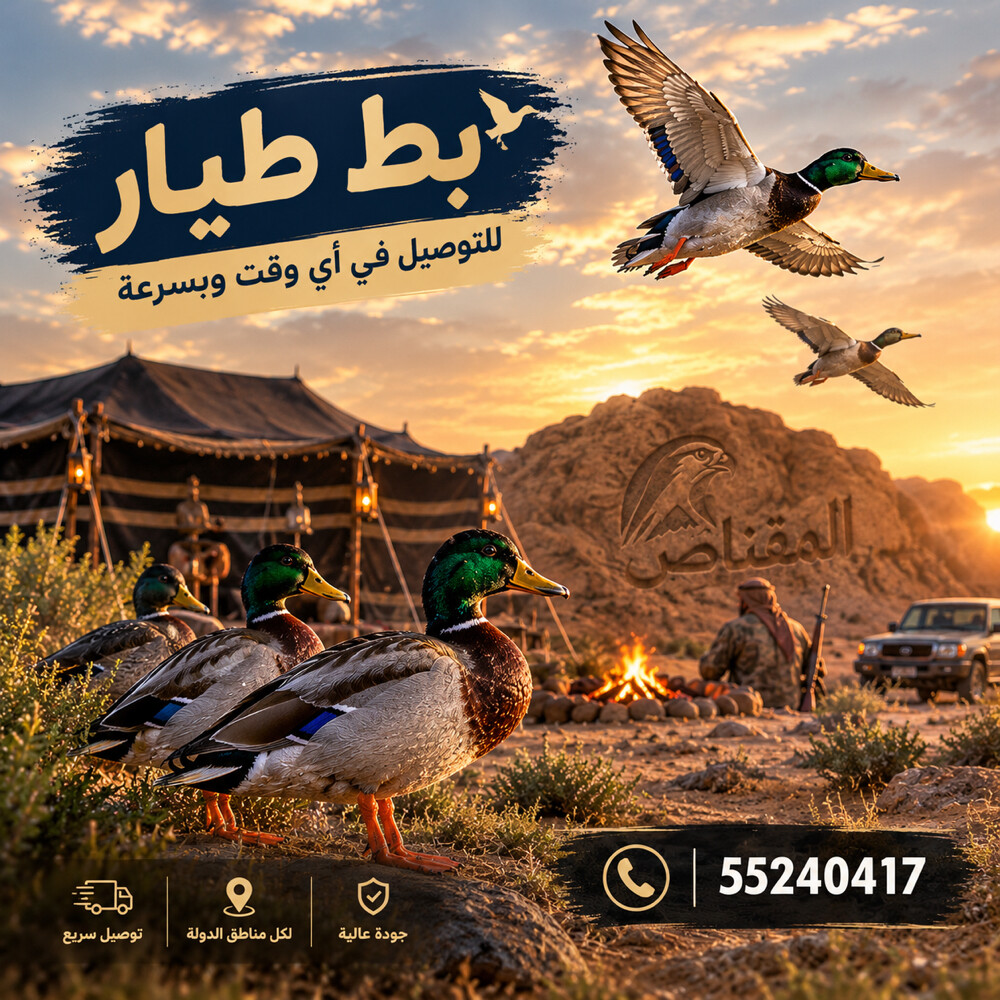 بط يطير و يرتفع - 1