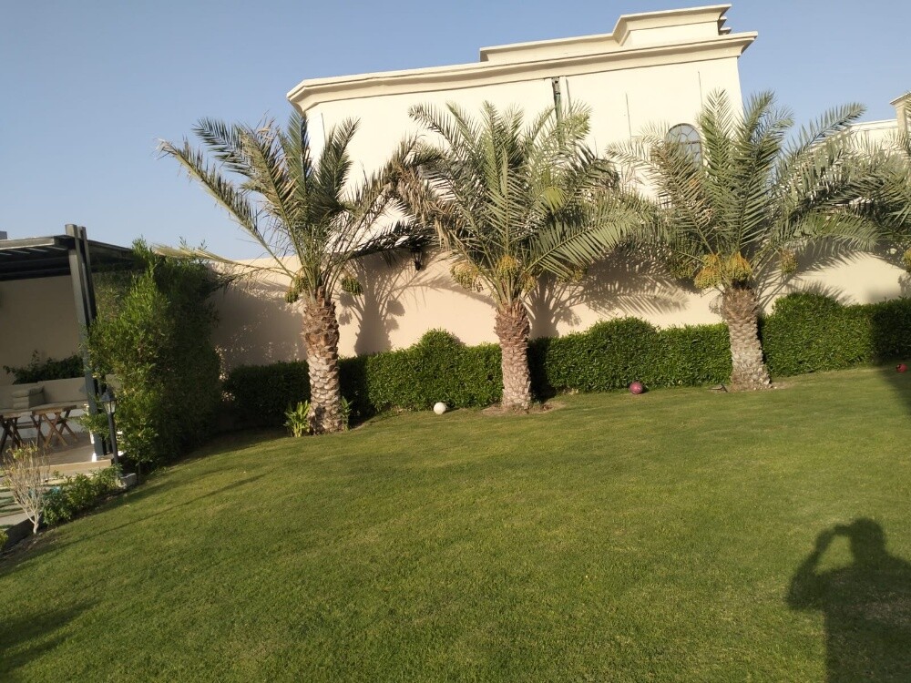 الزراعه والتنسيق - 1