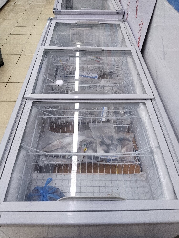 Fish Freezer Same Like New - 2