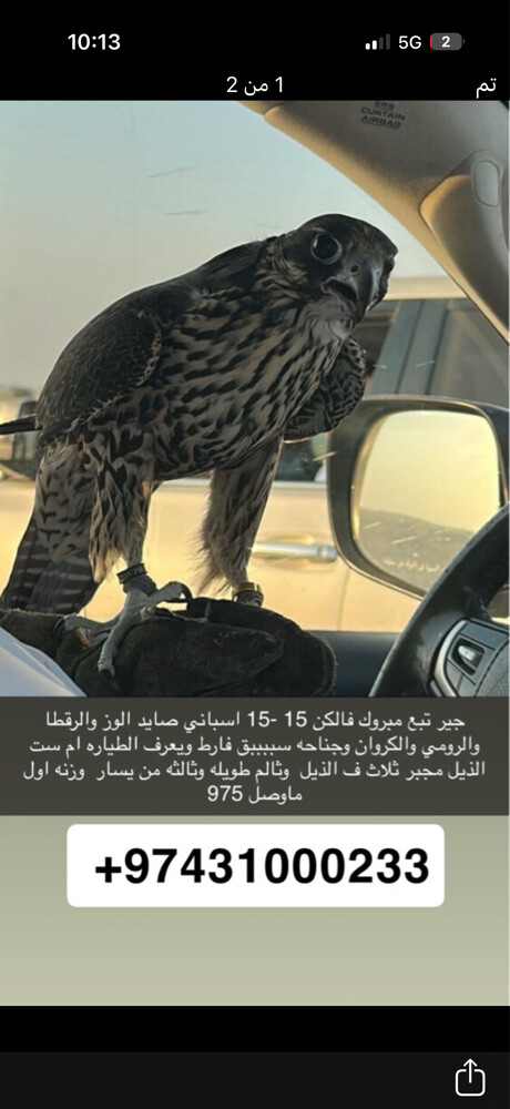 جير تبع - 1