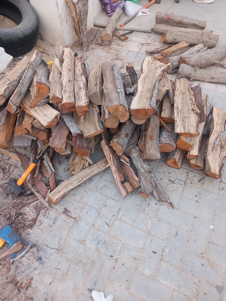 نقوم بتقطيع حطب حق النار - 1