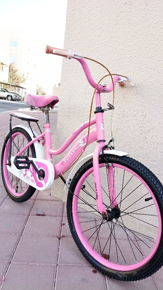 20" kids cycle Age:-4-10 years - 7