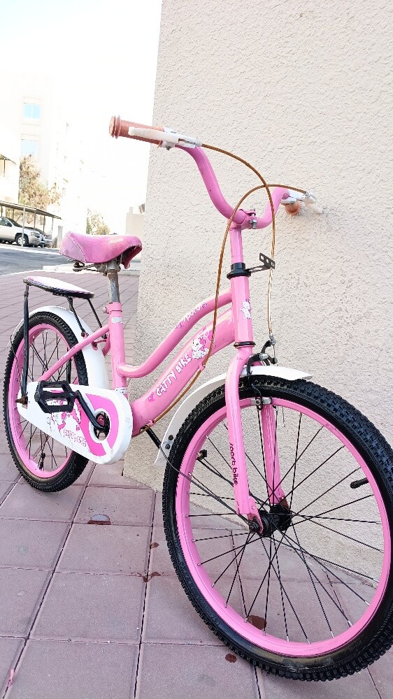 20" kids cycle Age:-4-10 years - 5