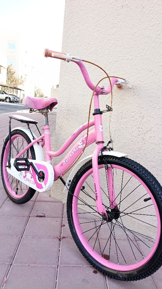 20" kids cycle Age:-4-10 years - 9