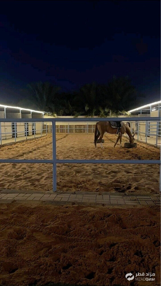 إسطبلات الخيل المتكاملة  - 3