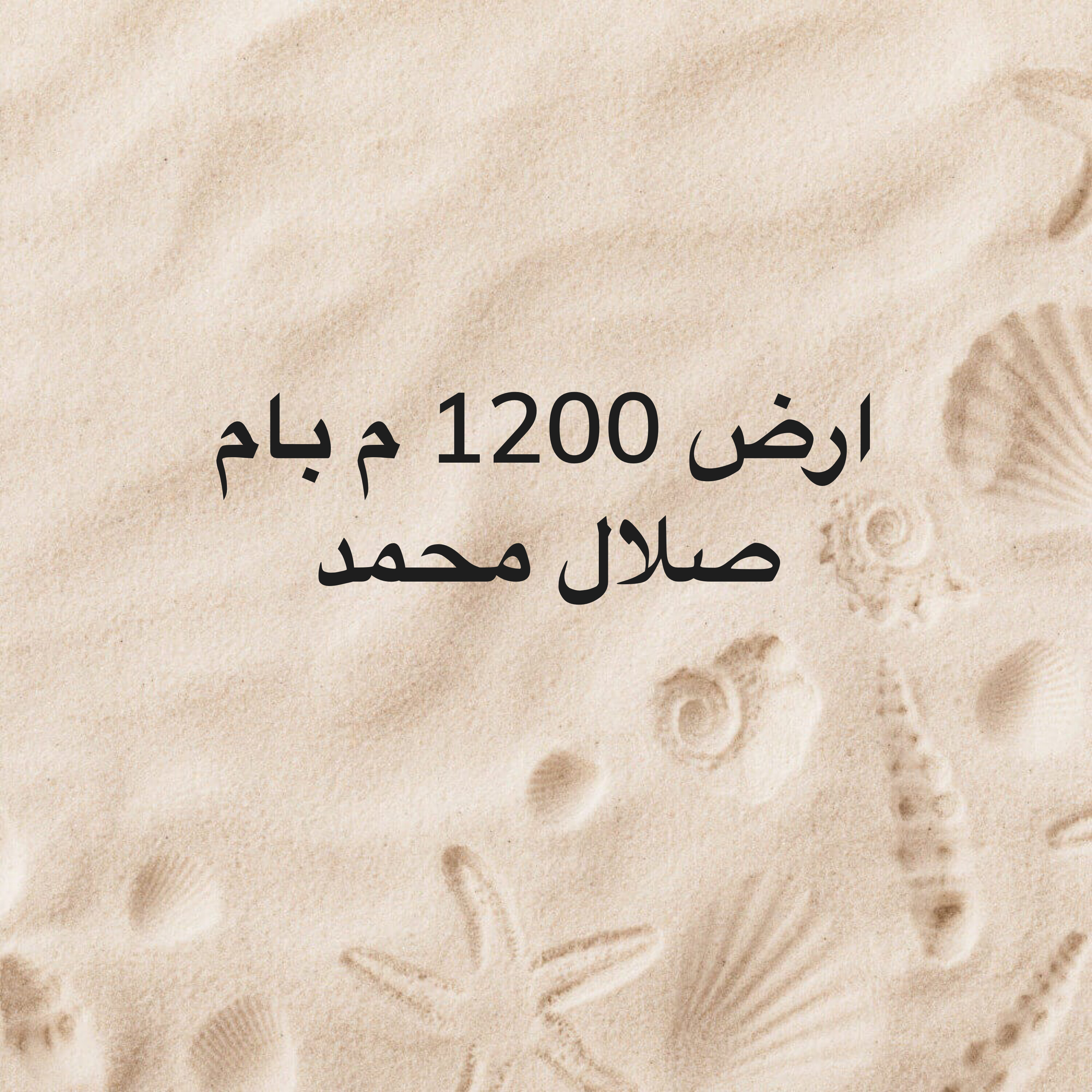 للبيع ارض 1200 م بام صلال محمد - 4