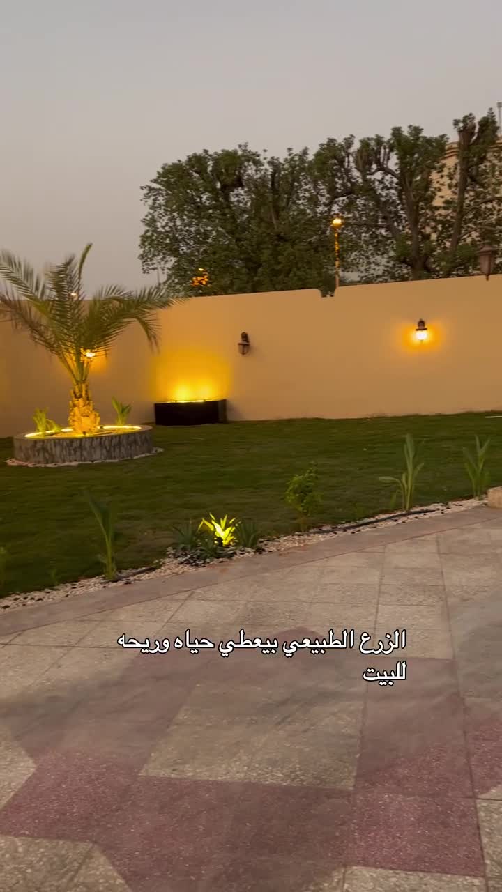 زراعة وديكور ومتابعه شهريه - 1