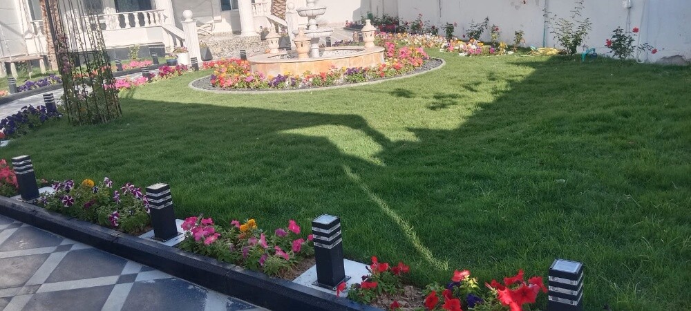 Mashood hosain - 6