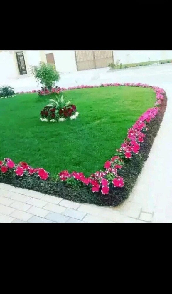 Mashood hosain - 3