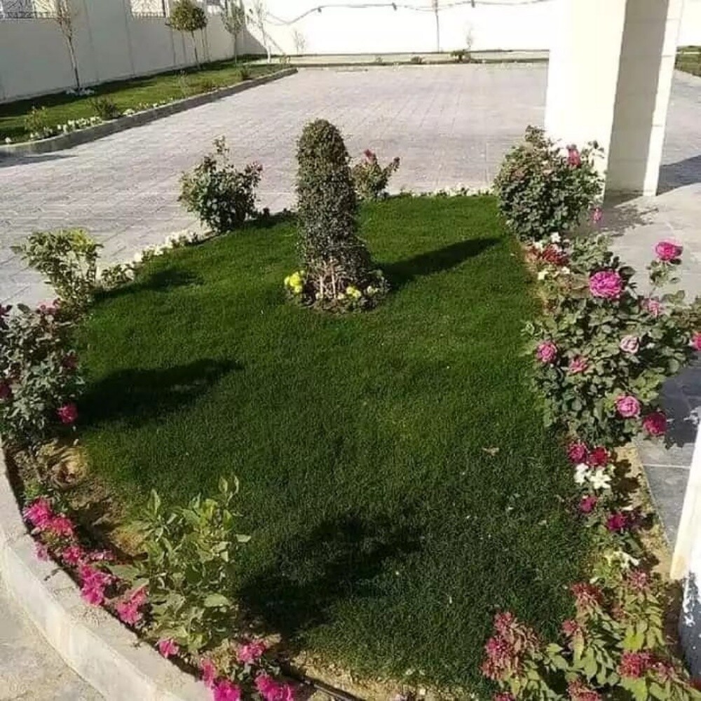 Mashood hosain - 12