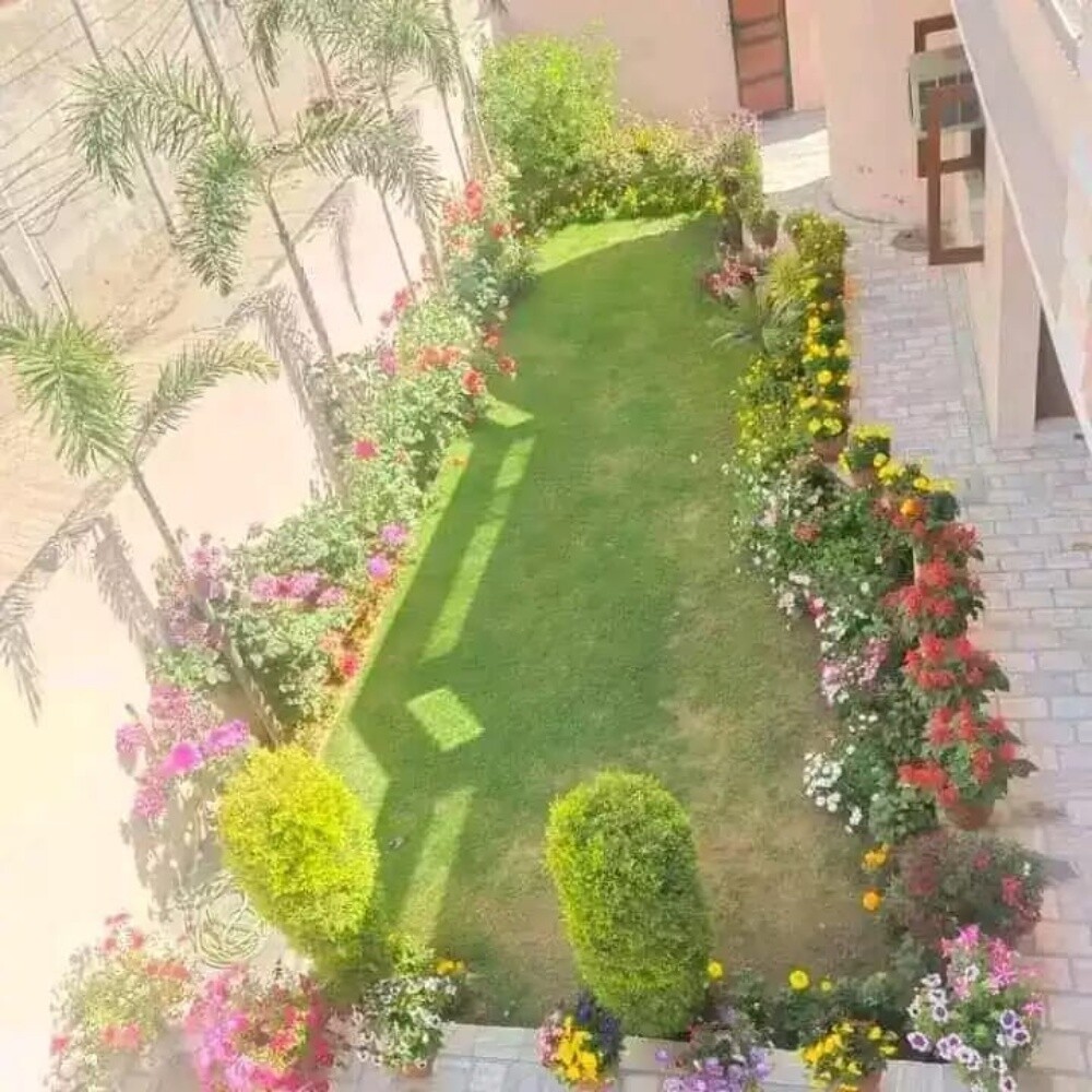 Mashood hosain - 14