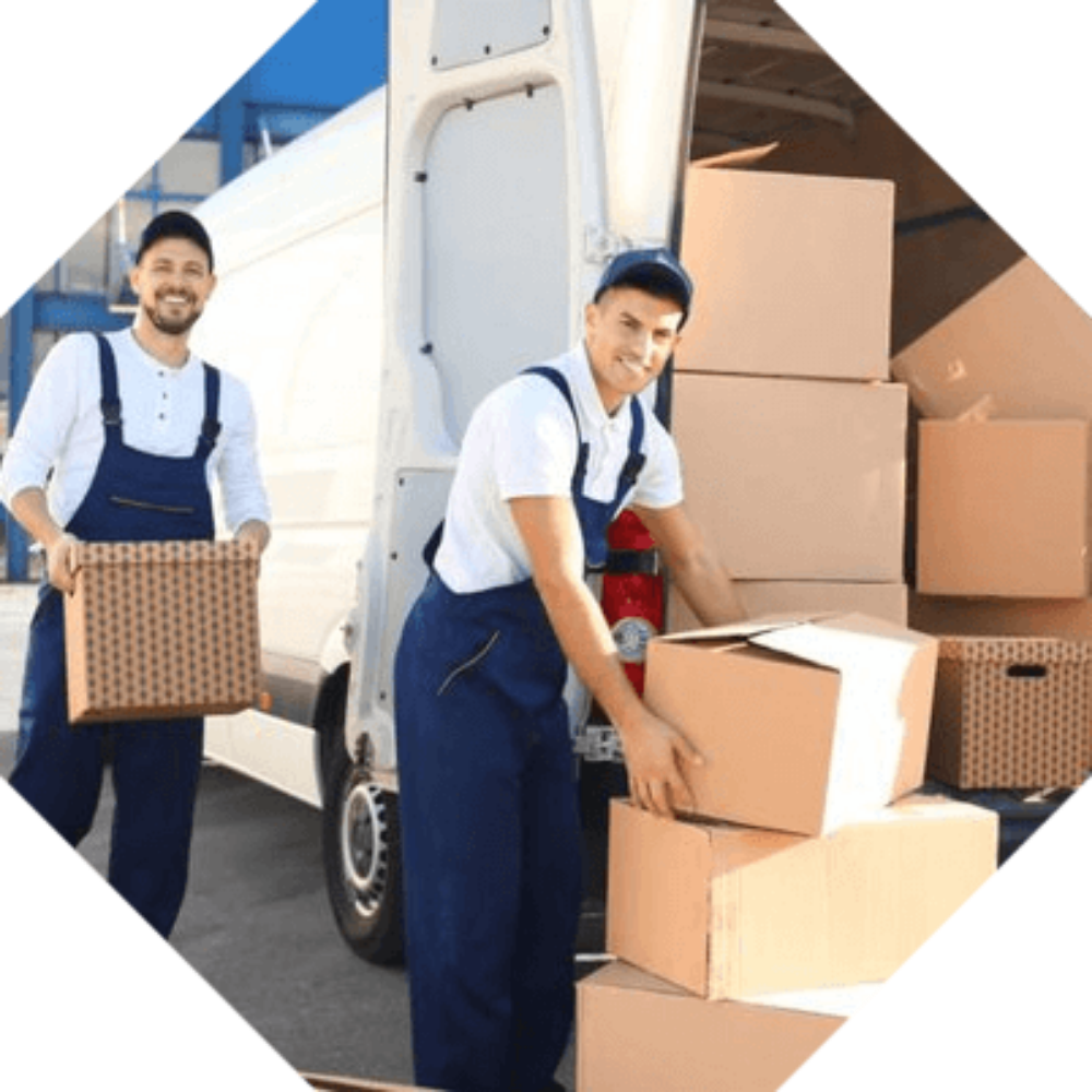 Only Boxes and Bag Moving shifting. - 3