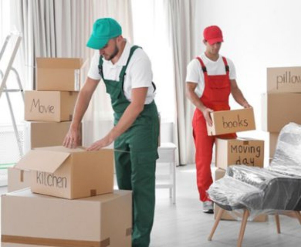 Only Boxes and Bag Moving shifting. - 2