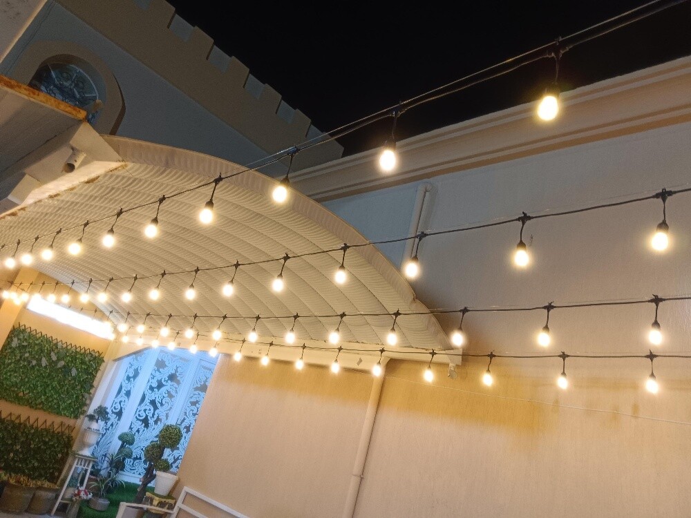 black wire with bulbs available - 1