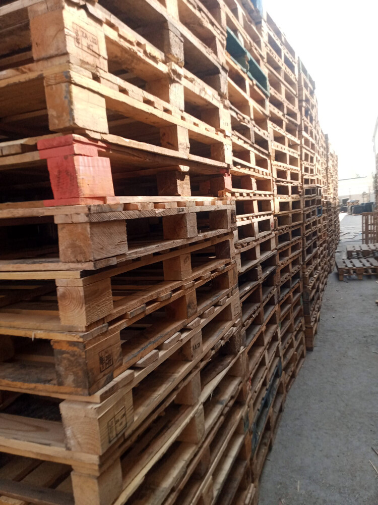 Wooden Pallets for Mesaieed Camping - 5