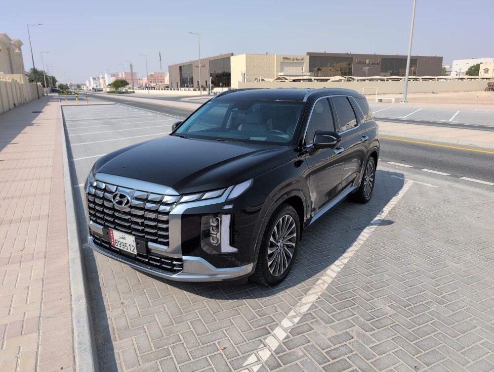 حالتها وكالة باليساد - 5