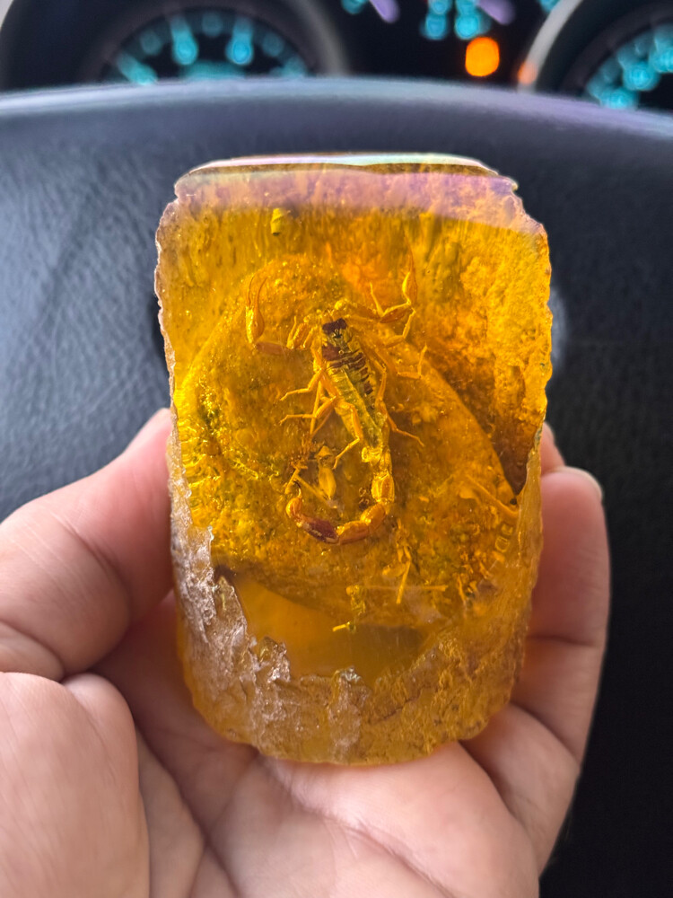 زجاج العقرب للزينه - 1