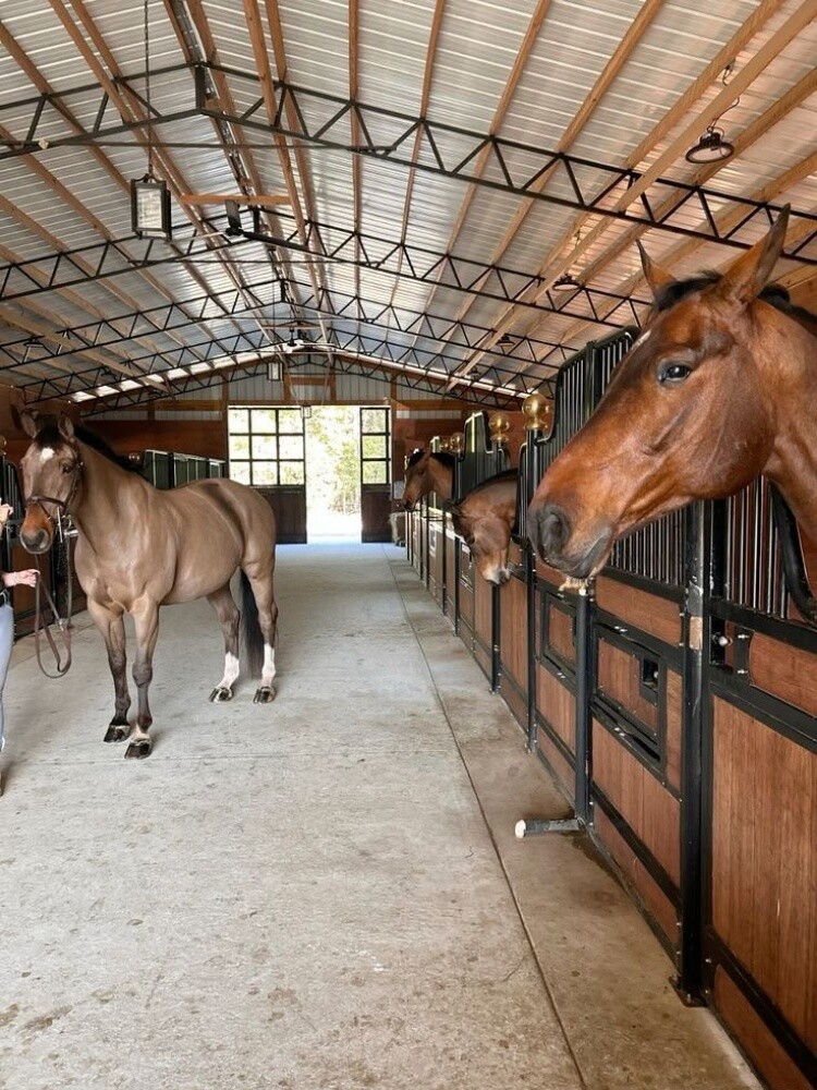 بناء إسطبلات الخيل المتكاملة - 2